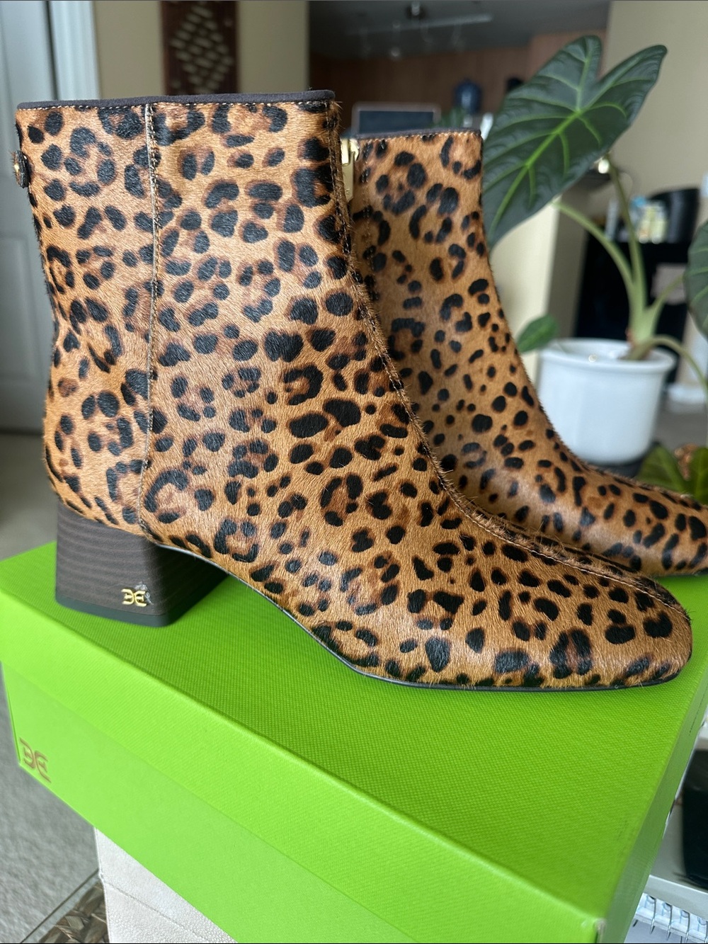 Leopard Print Ankle Boots - Sam Edelman “Paige” size 7